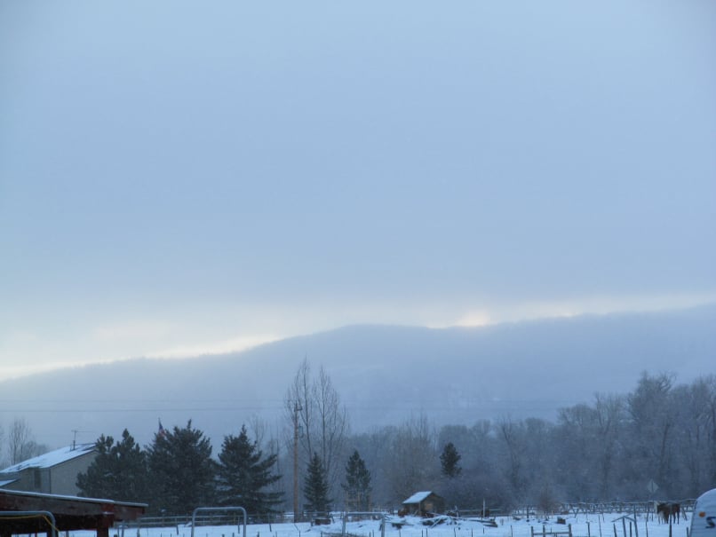 Woodland Farmhouse Inn